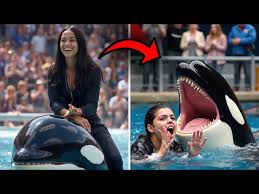 The HORRIFYING Last Moments Of Orca Trainer Jessica ...