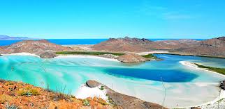Maybe you would like to learn more about one of these? Diamante Realtors Licensed Experts In Baja Real Estate