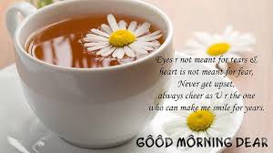 Good morning wishes gif good morning clips funny good morning images good morning dear friend good morning beautiful pictures good night beautiful good morning nature good morning images flowers good morning roses. Hd Good Morning Friends Wallpapers Peakpx