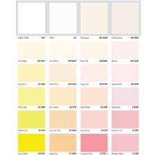 5l Nippon Paint Cc Super Matex Colour