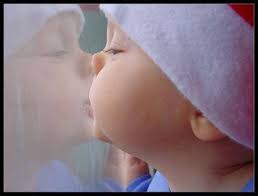 Résultat de recherche d'images pour