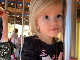 Fundraiser for Austin Andreason by Angela Norden : Help 3 Year Old Vi  Andreason Fight Her Brain Tumor