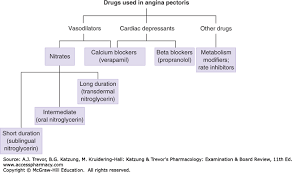 drugs used in the treatment of angina pectoris katzung