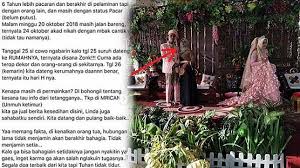 Hal ini juga yang memicu meningkatnya jumlah kehamilan sebelum menikah. Viral Pacaran 6 Tahun Gadis Ini Tak Tahu Kekasihnya Nikahi Wanita Lain Selamat Menikah Pacarku Tribun Style Line Today