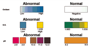 Icup Drug Screen Test Instructions