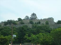 国内旅行 の記事一覧 Jinさんの陽蜂農遠日記 楽天ブログ