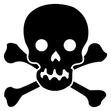 Skulls Png Image Png Images Skull Png Photo