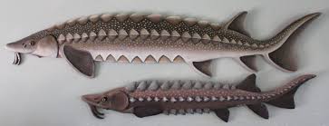 These home decor items make exceptional gifts for people who like fishing, outdoorsmen, and people who appreciate the you are viewing american expedition's collection of fishing themed home decor. Hand Made Metal Sturgeon Fish Fishing Home Decor House Lodge Sporting Goods Art Wall Sculptures