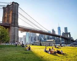 Image of Brooklyn Bridge Park