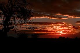 Ciel étoilé jour j embrase fumer bonne nuit tableaux soleil gifs cosmos. Coucher De Soleil Orange Vif Et Violet Ciel Magnifique Photo Stock Image Du Soleil Ciel 162527912