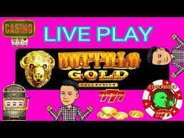 Live Play In Buffalo Gold Slot Forcing The Jackpot High Limit Youtube Gambling Problem Jackpot Gold Video