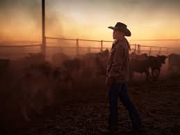 Bildergebnis für Matthew Abbott