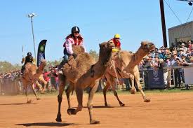 By fonze grade 7b1 my real name is abdullah ali. 7 Things To Make You Smile At The Boulia Camel Races Outback Queensland