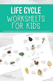 Life Cycle Worksheets For Kids Worksheets For Kids Life Cycles Life Cycles Activities