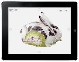 Pulling a rabbit out of a mesh hat