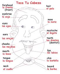 Avoir un coup de foudre. Spanish Song Toca Tu Cabeza