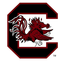 Color the loggerhead sea turtle shell red and brown with yellow edges and a yellow underside. University Logos Communications And Public Affairs University Of South Carolina