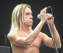 Iggy's weirdly adorable explanation for famously slashing his chest bloody with a bottle is, i felt so bad that i said, 'ah the heck with it.' between that and david bowie's smarmy/charming wincing, this video forever. Iggy Pop Wikipedia