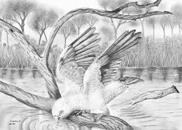 The difference between photorealism and hyperrealism is quite a small one. Realistic Nature Drawing At Paintingvalley Com Explore Collection Of Realistic Nature Drawing