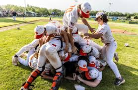 East Pennsboro survives ELCO's late surge, wins third straight District 3  4A Baseball title