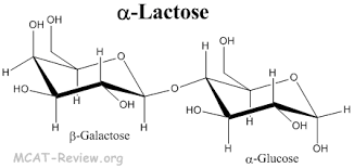 Bond Between Glucose And Fructose In Sucrose? : R/Mcat