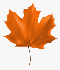 beautiful autumn leaf png high resolution maple leaf real transparent png kindpng beautiful autumn leaf png high