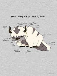 Anatomy Of A Sky Bison Laptop Sleeve By Sarahhere Cute Animal Memes Avatar Aang Avatar The Last Airbender