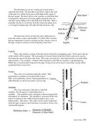 Forensic Science Hair And Fiber Unit Forensic Science Forensics Science Text