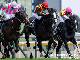 競馬予想のウマニティ - News update