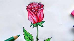 Finde die besten kostenlosen videos zu blumen zeichnen. Malen Lernen Rose Blumen Zeichnen Lernen Fur Anfanger Mit Bleistift Bunststiften Youtube