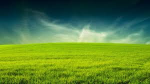 green field paisaje campo campo verde paisajes paisaje campo campo verde