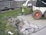 Concrete Patio Ideas