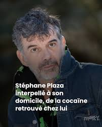 Stéphane Plaza, une affaire qui décoiffe...🔍 👉 https://l.melty.fr/Iy1