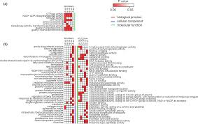 Trims the mister by e. Https Onlinelibrary Wiley Com Doi Pdf 10 1111 Are 14894