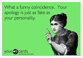 What A Funny Coincidence Your Apology Is Just As Fake As Your Personality Funny Coincidences Ecards Funny Funny Quotes