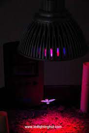 Red and blue grow lights. Discount 12w Red Blue Led Plant Grow Light Bulbs