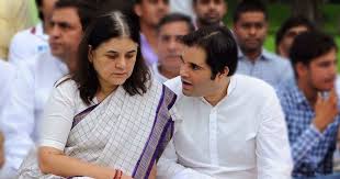 Maneka gandhi is an indian politician, known for being sanjay gandhi's wife. Elections 2019 Maneka Gandhi Secures Close Win Against Bsp Candidate By A Margin Of 14 000 Votes