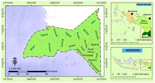 It means that obj is a replacement for a character that can't be displayed on your screen. Sustainability Free Full Text Land Cover Changes From 1990 To 2019 In Papua Indonesia Results Of The Remote Sensing Imagery Html