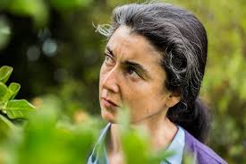 Paulina marcela urrutia fernández (born 15 january 1969) is a chilean actress, academic, director, trade union leader, and politician. Blogger