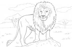 Animal coloring pages for kids, toddlers and preschoolers: Lion Coloring Sheets Printable Coloring And Malvorlagan