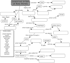 Body World Digestive System Digestive System Worksheet Human Digestive System Digestive System Lessons