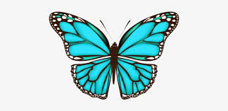 May 04, 2020 · 15 simple butterfly crafts for kids toilet paper roll butterfly. Borboleta Azul Simple Butterfly Wing Design Transparent Png 480x678 Free Download On Nicepng