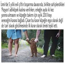 Hayvanlar Candir Esya Degildir Hayvanlar