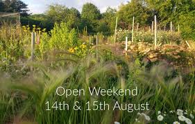 Check spelling or type a new query. Big Flower Farmers Weekend Galloway Flowers