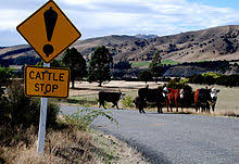 I propose that we adopt the usage of algebraic chess annotations, where the exclamation point ! Exclamation Mark Wikipedia