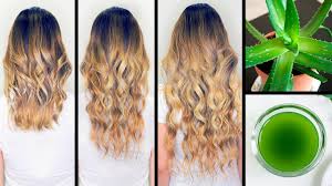 Rizinusöl haare haare wachsen haare locken haare vorher nachher haare schneller wachsen lassen haarwuchs haarschnitt lang haut und haar gesunde haare. Ich Habe Aloe Vera Ol Gemacht Und Mein Haar Begann Doppelt So Schnell Zu Wachsen Youtube