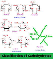 classification of carbohydrates online notes on microbiology