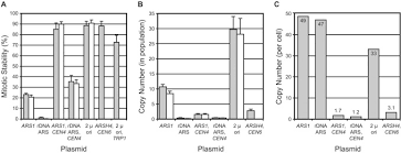 Cell structure & function ms. Plasmid Accumulation Reduces Life Span In Saccharomyces Cerevisiae Journal Of Biological Chemistry