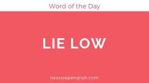Word Of The Day Lie Low Nextstepenglish Com Word Of The Day English Words English Vocabulary Words