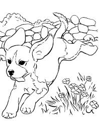 From funny dog cartoons to realistic drawings of specific breeds, you are sure to find an image to satisfy every desire. Dog Coloring Pages Realistic Puppy Coloring Pages Dog Coloring Page Animal Coloring Pages